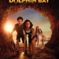 The Curious Case of Dolphin Bay (2022)
